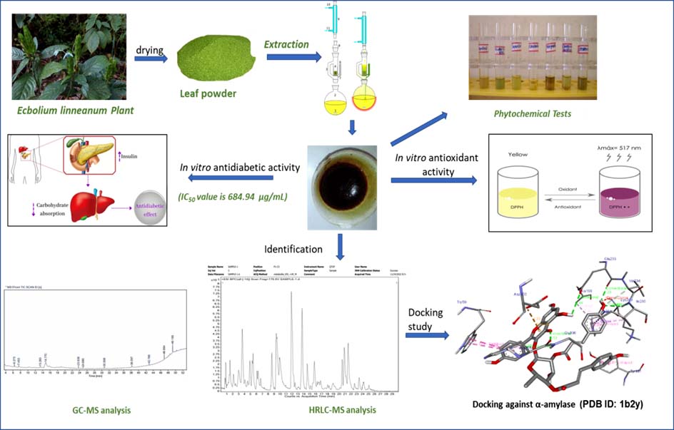 Graphical Abstract